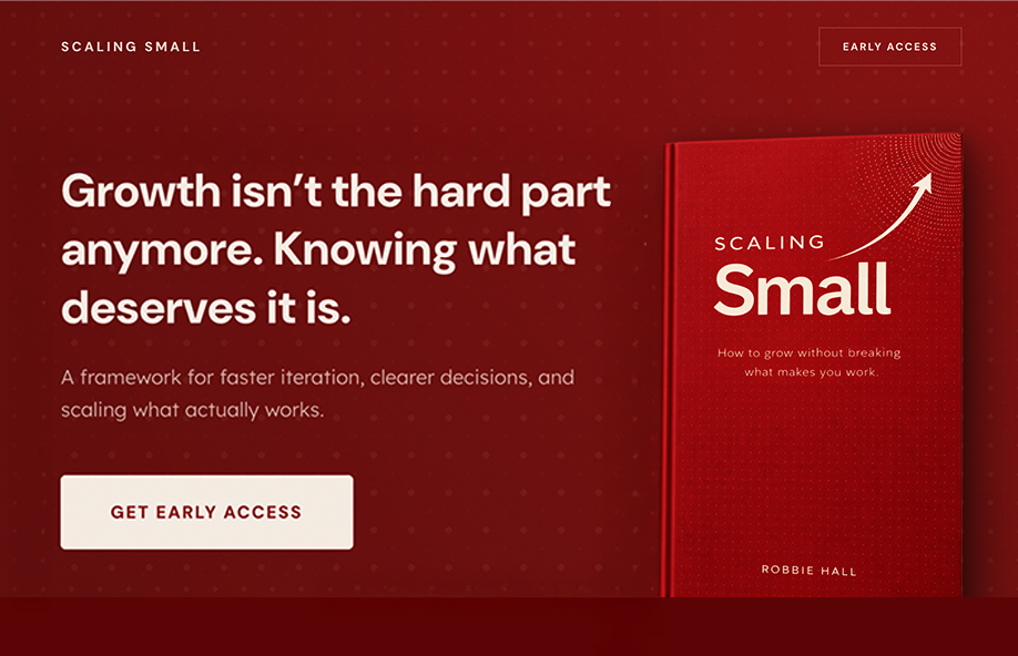 Book Launch Site & Brand Identity