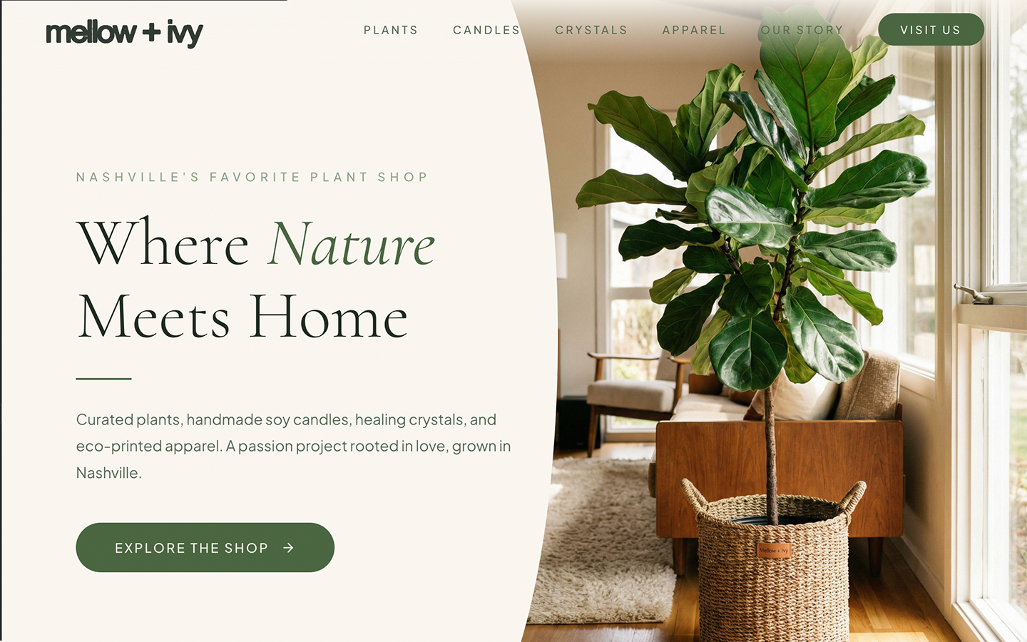 E-Commerce Platform & Brand Presence